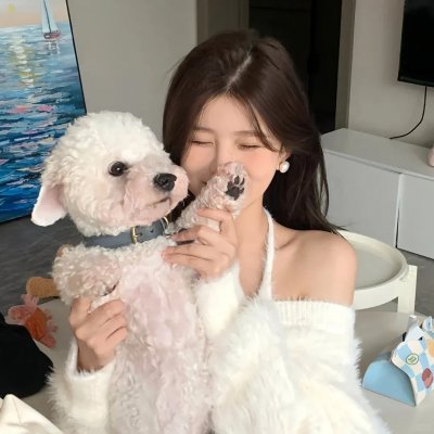 禁宫龙虎斗